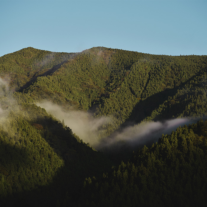 徳島県の黄金の村